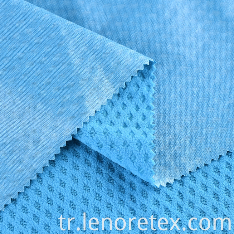 Polar Fleece Fabric